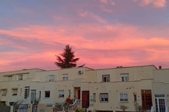 WhatsApp-Image-2022-02-14-at-18.57.29
