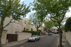 rosalux1