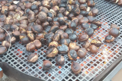 Castanada_2