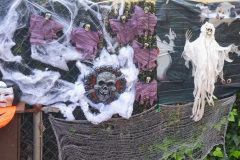 Halloween-2023_12