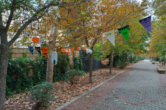 Halloween-2023_14