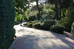 IMG_7580